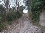 PICT0090.JPG