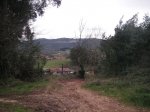 PICT0097.JPG