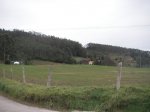 PICT0103.JPG