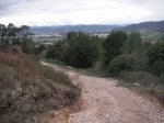 PICT0106.JPG