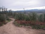 PICT0109.JPG