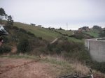 PICT0138.JPG