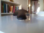20140210_103007.jpg