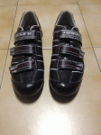 IMG_0126.gif