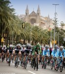 mallorca14st1_palm.jpg