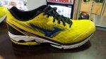 mizunowave.jpg