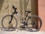 bici1.jpg