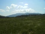 PICT1805 (Medium).JPG