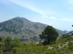DSC02235.JPG