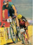 cactus cup 1995.JPG