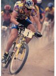 cactus cup 1996.JPG