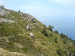 DSC02240.JPG