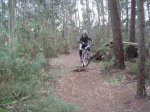 btt2.jpg