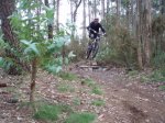btt3.jpg