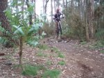 btt5.jpg