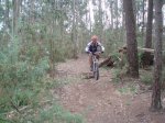 btt6.jpg