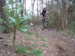 btt7.jpg