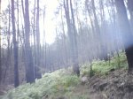 DSC00218.JPG