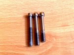 52Tornillo original Scy carbonius.jpg