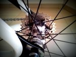 20140212_144624.jpg