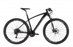 rx9-29er-03-gran.jpg