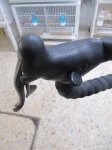 IMG_7869_redimensionar.jpg