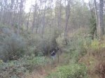 IMG_2169.JPG