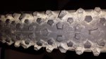 20140213_182533.jpg