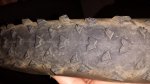 20140213_182810.jpg