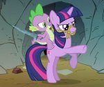 Dog-and-Pony-Show_7393.jpg