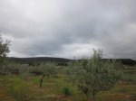 IMG_0201.JPG