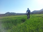 20130421_100614.jpg