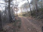IMG_4754 (Copiar).JPG