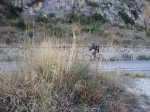 DSC00713.JPG