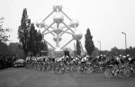 1797364_405918722876874_626487292_n.jpg