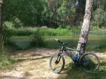 Trek 4300 1.jpg