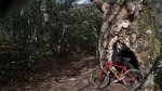 Ucieda-Ruta de los Puentes (11).jpg
