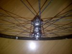 IMG-20140217-00321.jpg