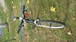 20131123_134419.jpg