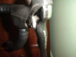 DSC00073.JPG