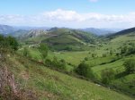 Dolia_CaminReal 007_resize.jpg