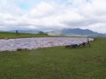 Dolia_CaminReal 016_resize.jpg