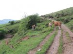 Dolia_CaminReal 019_resize.jpg