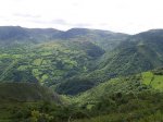 Dolia_CaminReal 021_resize.jpg