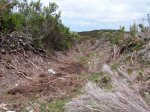 Dolia_CaminReal 037_resize.jpg