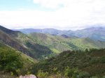 Dolia_CaminReal 043_resize.jpg