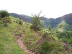 Dolia_CaminReal 044_resize.jpg