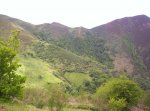 fotos dolia 047.jpg