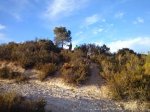 CAM00714.jpg