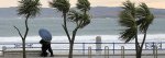 viento-647-231--647x231.jpg